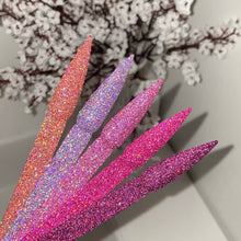 Load image into Gallery viewer, Holo Glitter Collection