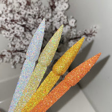 Load image into Gallery viewer, Holo Glitter Collection