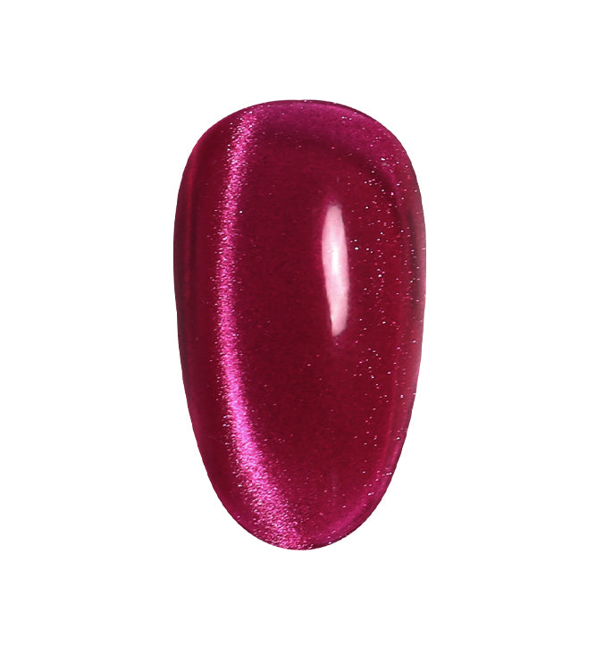 Magnetic Gel 26 – LN Nailed It